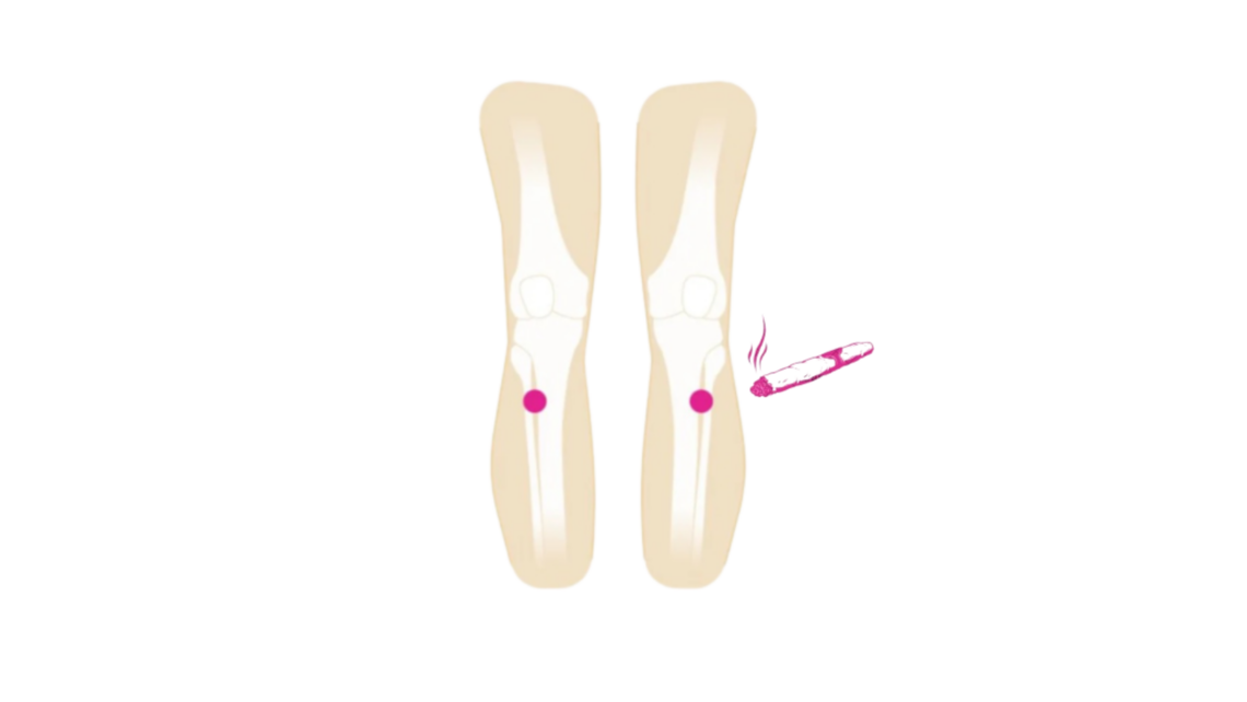 Point E36 : repérage, explications & fonctions - Mélissa Carré