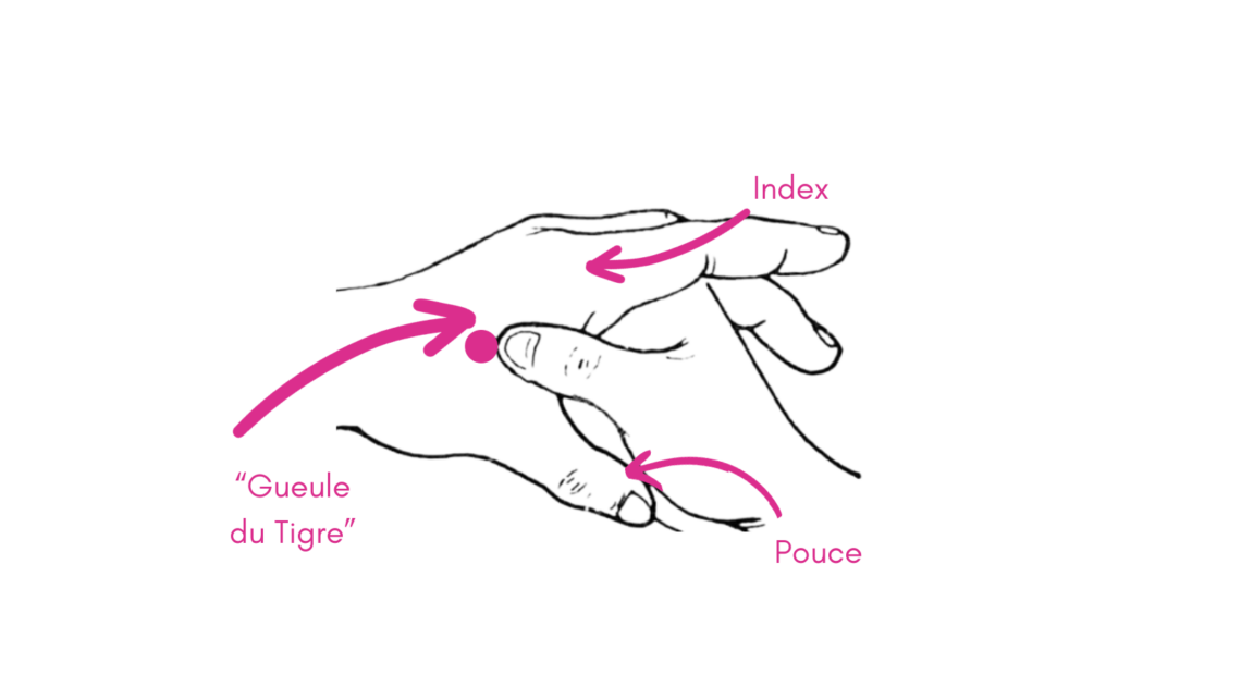 Point GI4 repérage, explications & fonctions Mélissa Carré — free download