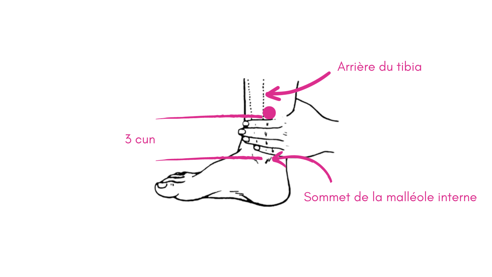 reperage-point-rte6