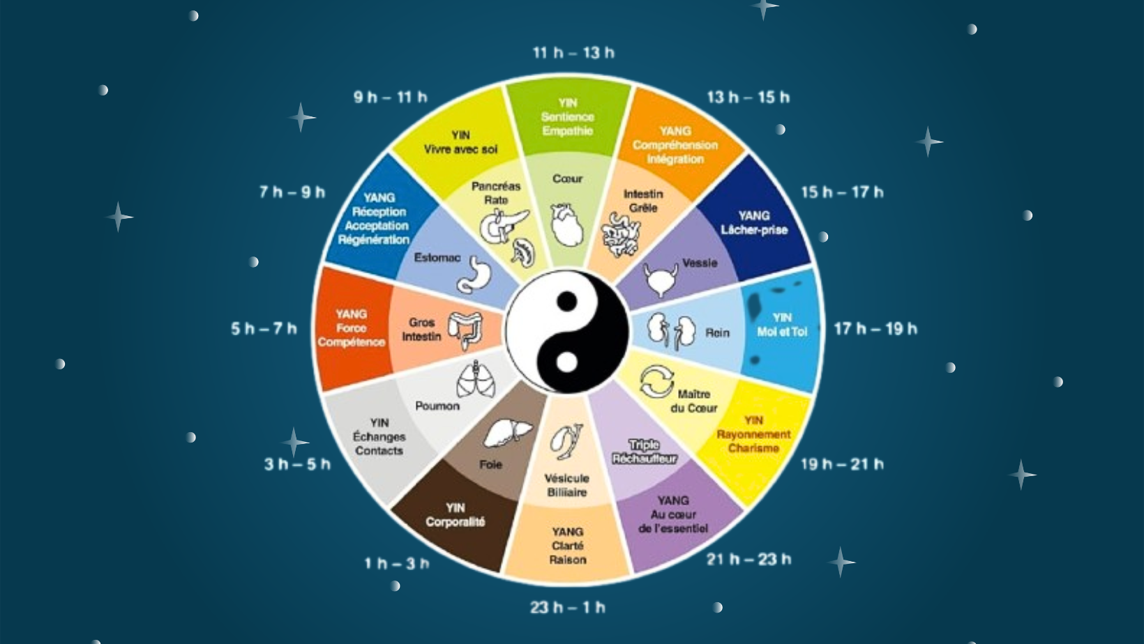 horloge-organes-medecine-chinoise-sommeil